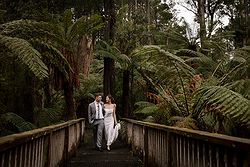 lyrebird falls luxe relaxed wedding forrest