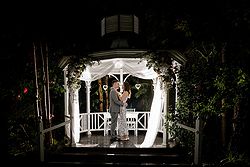 lyrebird falls luxe relaxed wedding forrest night shot rotunda back flash