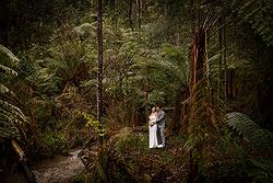 lyrebird falls luxe relaxed wedding forrest 2