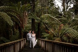 lyrebird falls luxe relaxed wedding forrest bridge bride and groom