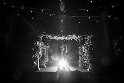 Traditional Luxe Wedding Quat Quatta bride + Groom black + white smoke + back flash night shot arbour festoon lights