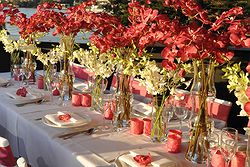 Club Rose Bay Weddings