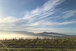 Coombe Yarra Valley