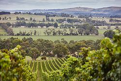 Coombe Yarra Valley