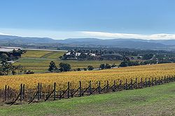 Coombe Yarra Valley