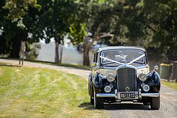 Ezard at Levantine Hill Weddings