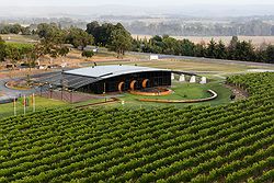 Ezard at Levantine Hill Weddings