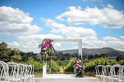 Ezard at Levantine Hill Weddings