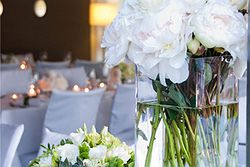 Sails Restaurant Noosa Weddings