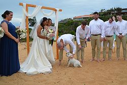 Sharon Osman Civil Marriage Celebrant