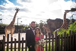 Taronga Centre Weddings