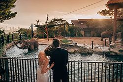 Taronga Centre Weddings