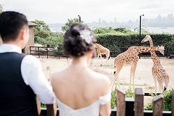 Taronga Centre Weddings