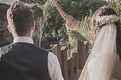 Taronga Centre Weddings