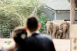 Taronga Centre Weddings