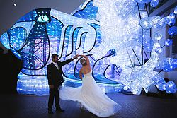 Taronga Centre Weddings