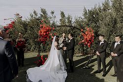 The Wedding Host